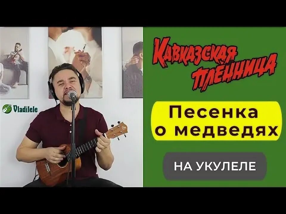 Медведь укулеле. Медведь укулеле. Мишка с гитарой. Умка колыбельная укулеле. Киш на укулеле табы.