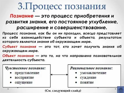 Что такое знание в обществознании