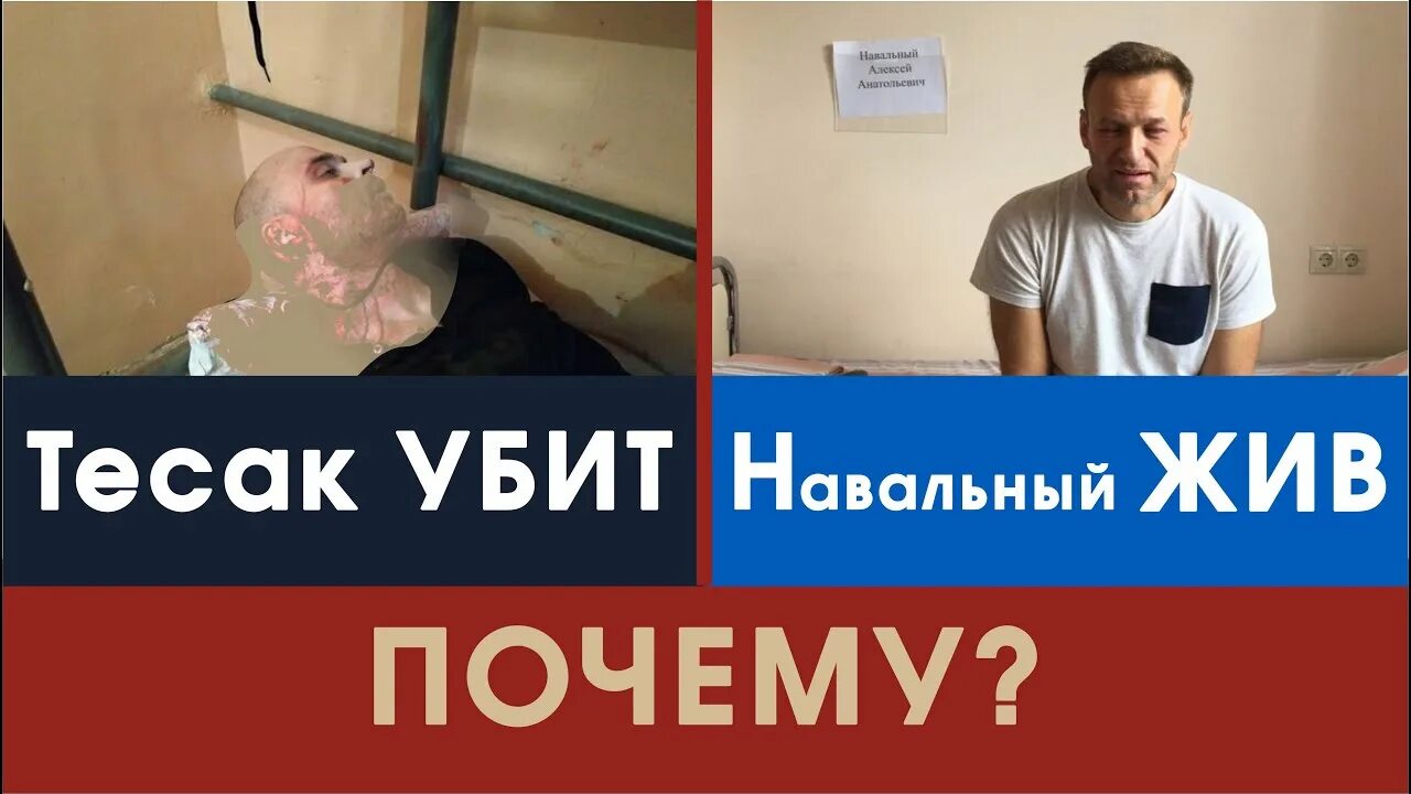 Навального убили. Навальный о смерти Тесака. Кто такой навальный и за что умер