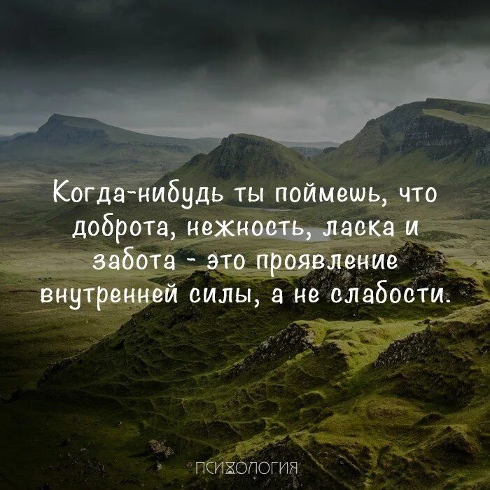 Нежность высказывания. Цитаты о ласке и нежности. Доброта и нежность цитаты. Когда-нибудь ты поймешь. Когда-нибудь ты поймешь что доброта.