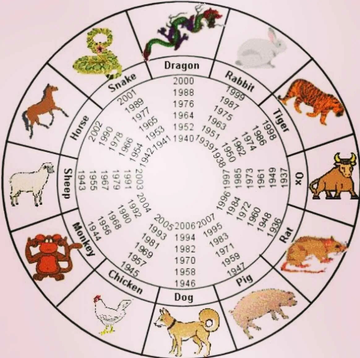 Есть китайский гороскоп. Восточный календарь. Календарь годов по животным. Животные китайского календаря. Годы по восточному календарю животные.