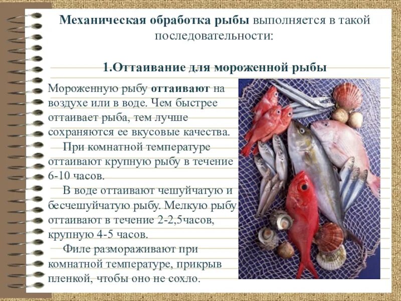 Механическая кулинарная обработка рыбы. Механическая куленория обработка рыбы. Последовательность механической кулинарной обработки рыбы. Первичная обработка рыбы. Организация обработки рыбы