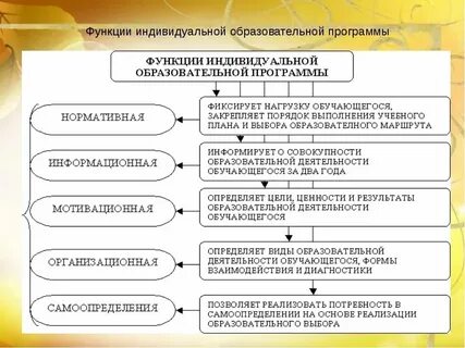 Индивидуальная образовательная программа в вузе