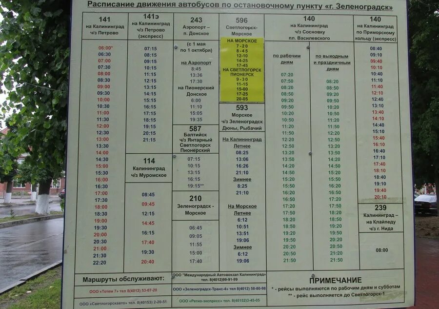 Сколько стоит автобус до города