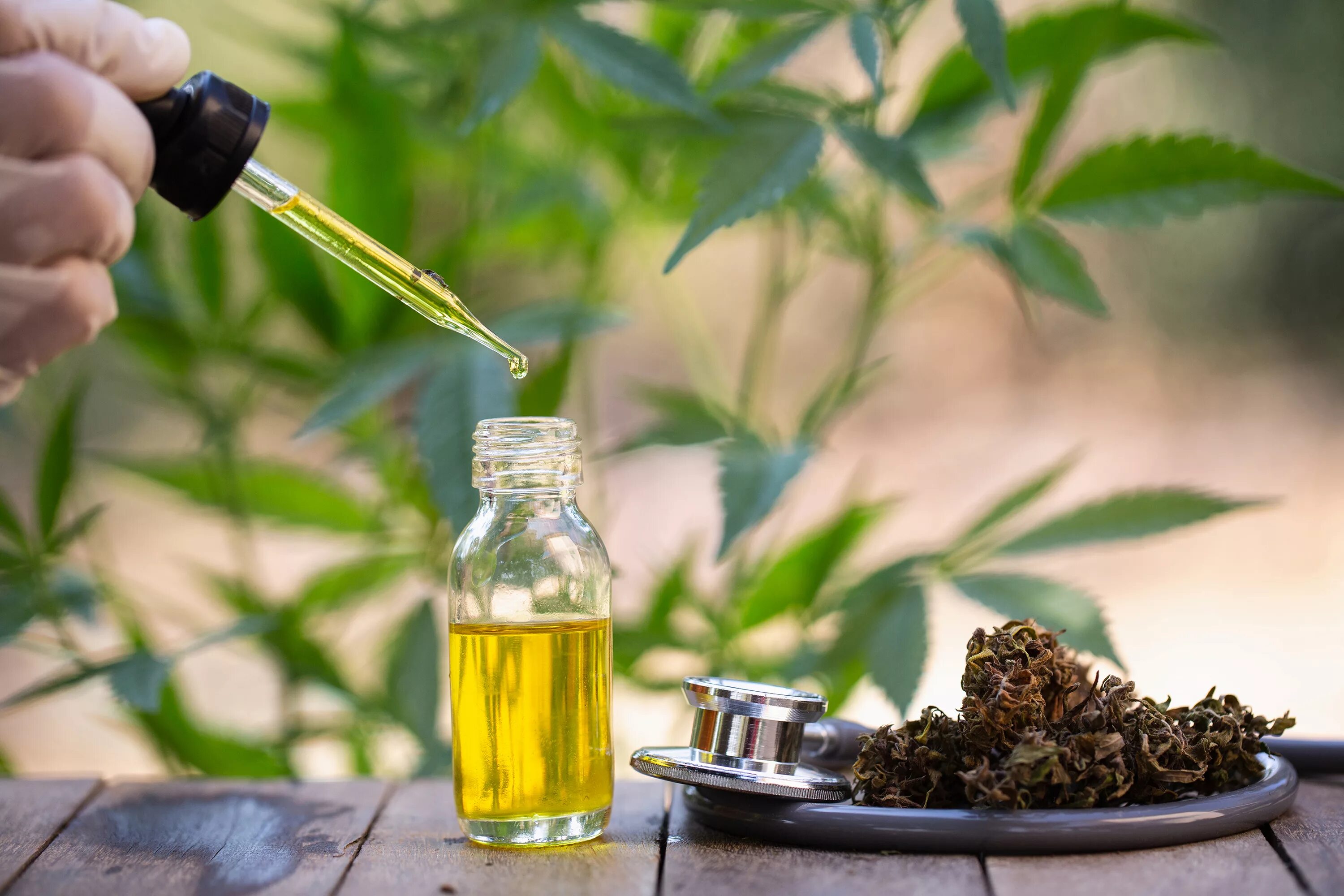 Natural extracts. Канабис -масло CBD. Конопляное масло CBD. Масло конопли каннабидиол. Конопляное масло с КБД.