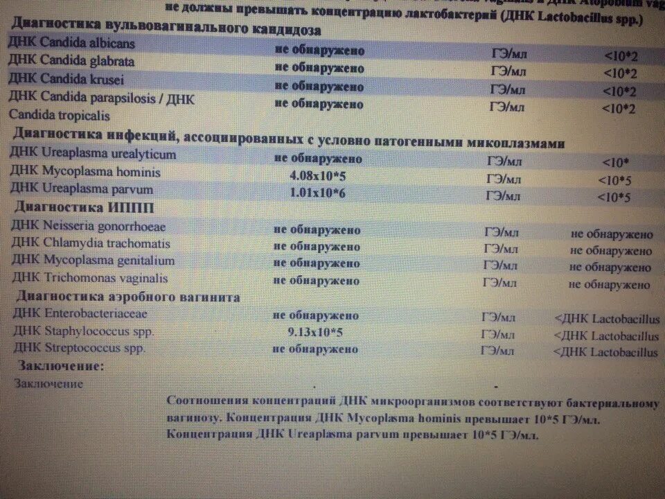 Флороценоз анализ расшифровка норма. ПЦР Флороценоз норма. Флороценоз анализ. Флороценоз норма показателей. Флороценоз анализ расшифровка.