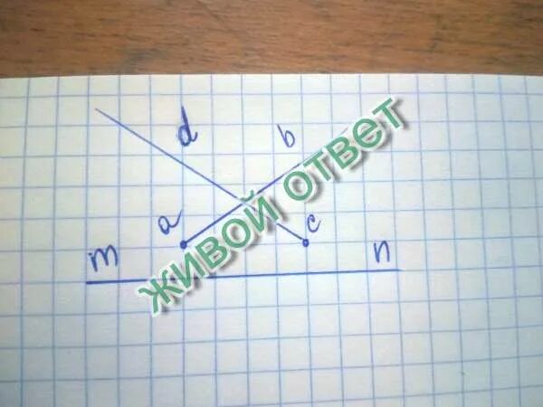 Начерти прямую мн. Начерти прямые ab cd mn. начертите прямую mn и два луча. начертите прямую mn отметьте. начертите прямую mn.