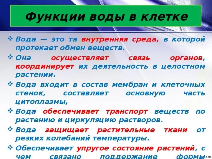 Роль внутренних вод. Характеристика воды в клетках.