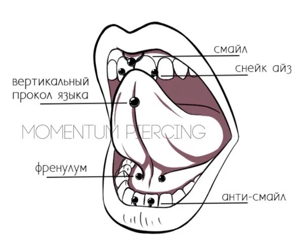 Foot tongue. Пирсинг языка виды названия. Пирсинг проколы схема с названиями.