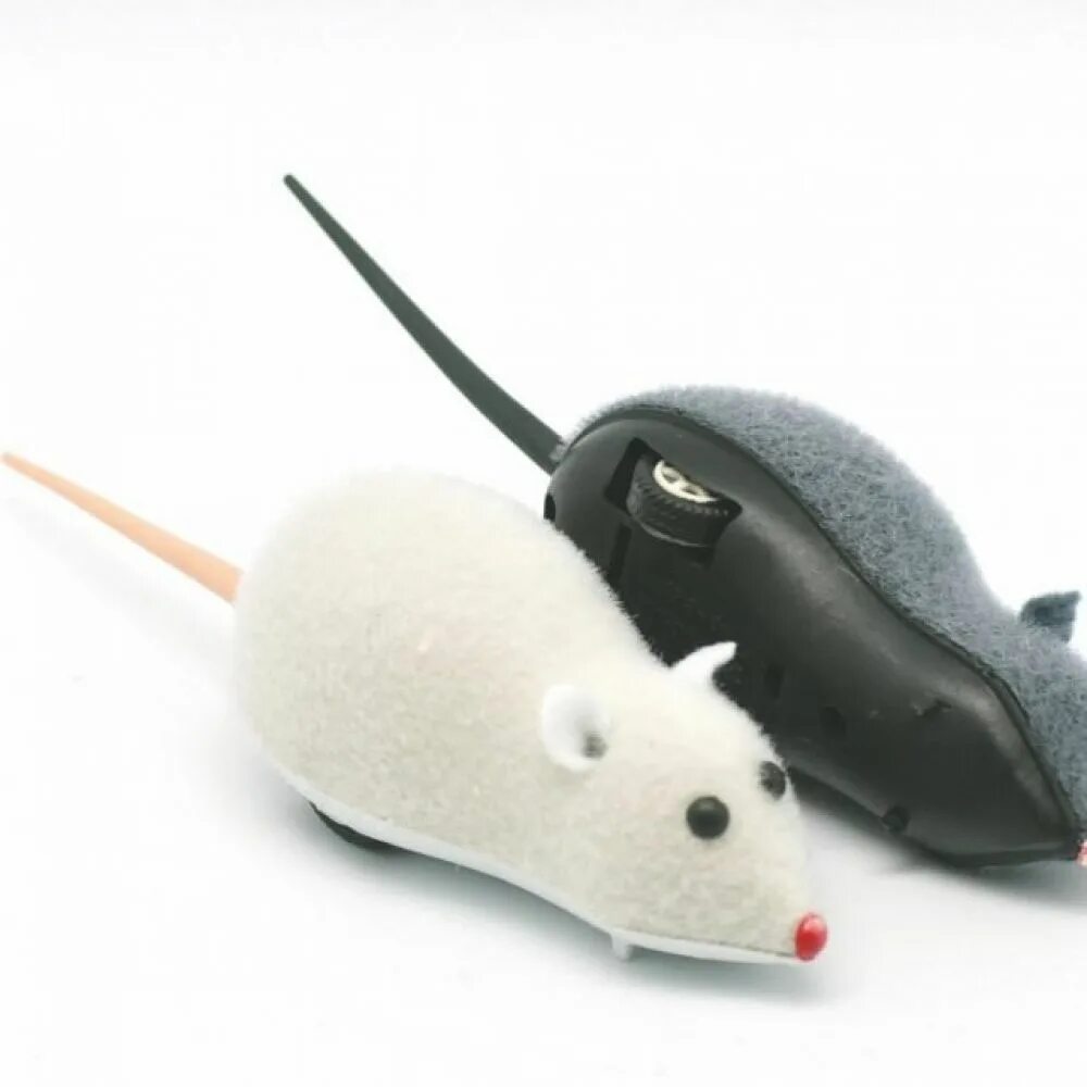 Мышка на колесиках игрушка. Заводная мышка для кошки. Мышка с колесиком. Игрушка для кошек мышь заводная.