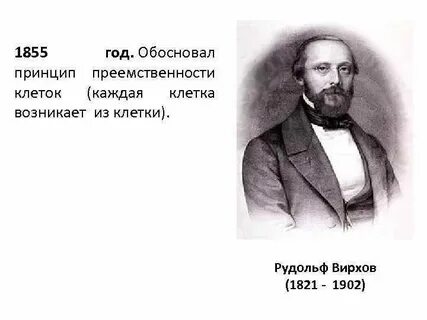 Кто обосновал что