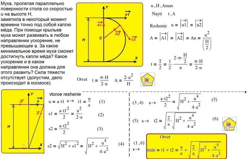 Сколько пролетает муха