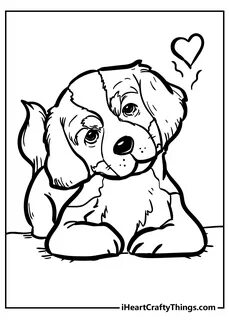 Color dog