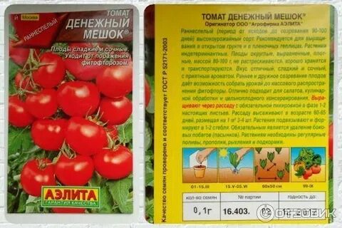 Томат верочка характеристика и отзывы фото урожайность