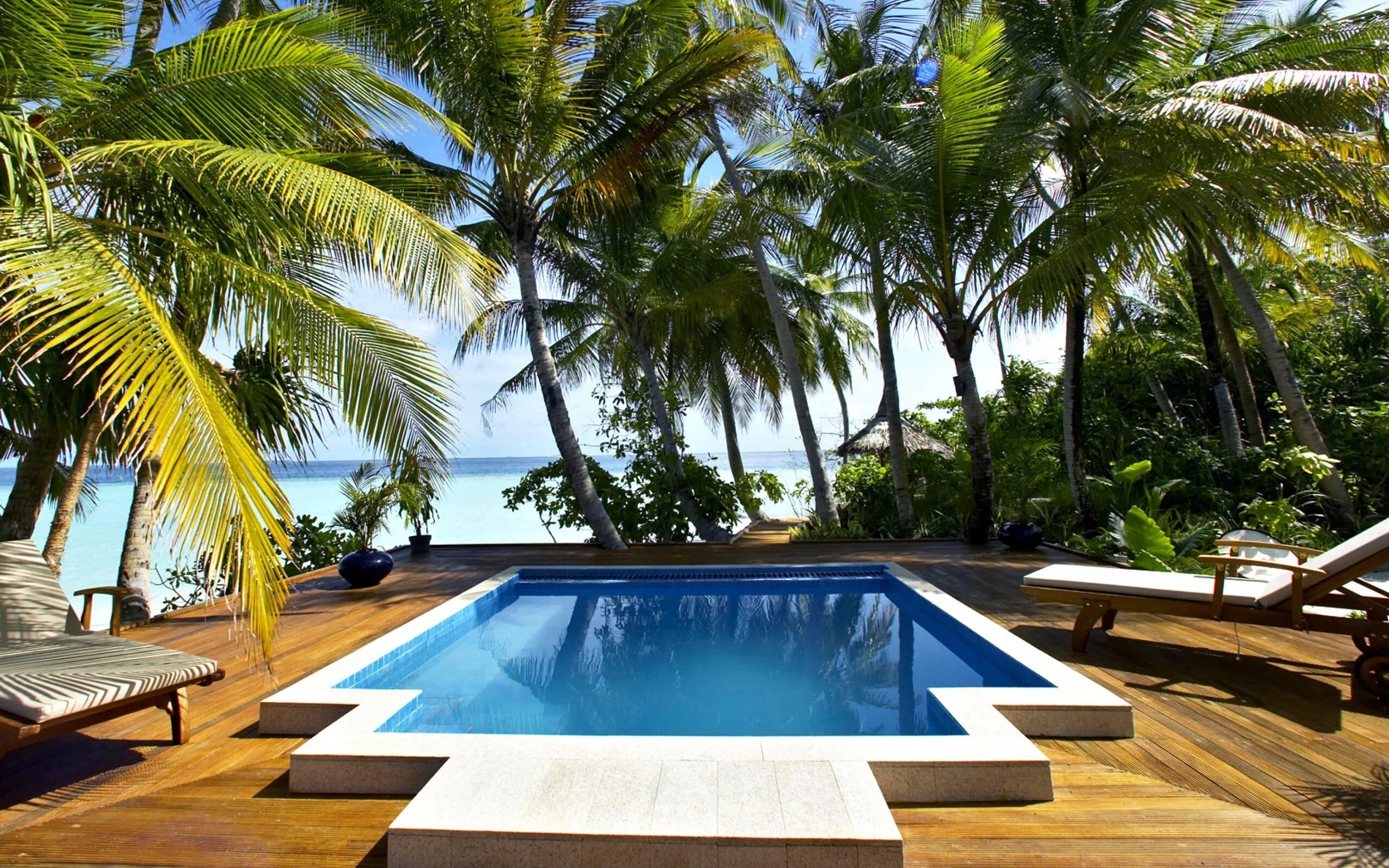 Океан дом 2. Бассейн на пляже. Бассейн с пальмами. Море бассейн пальмы. Вилла с пальмами.
