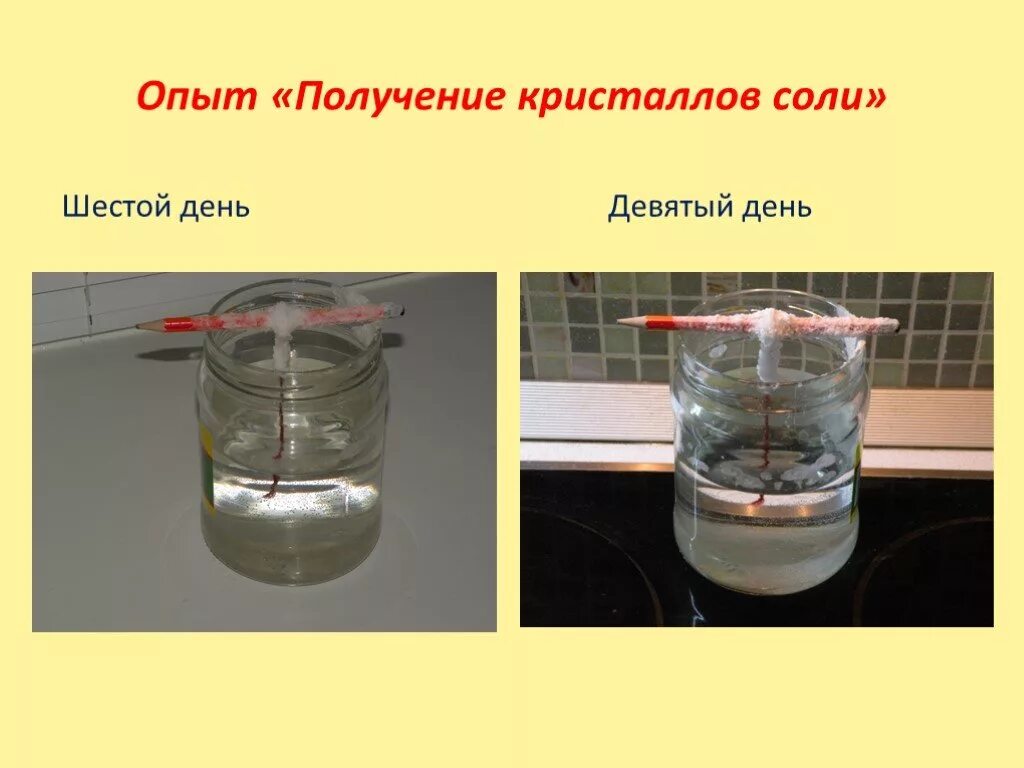 Какой опыт получили. Опыт с кристаллами соли. Опыт с солью выращивание кристаллов. Опыт по физике Кристаллы из соли. Опыт к солевому кристаллу.