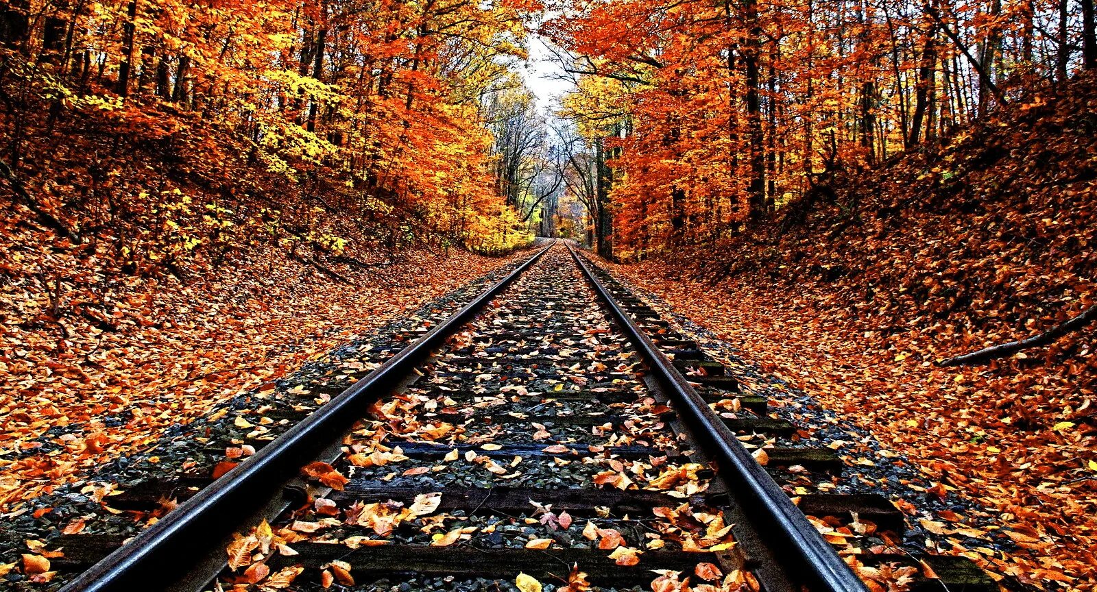 Железная дорога осень. Поезд осень. Осень жд дорога. Железная дорога осень. Железная дорога пейзаж.