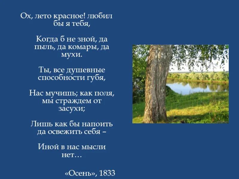 Кабы любила. Ох лето красное любил бы я тебя. О лето красное любил бы я тебя Пушкин. Стихи Пушкина про лето. Стихи о лете русских поэтов.