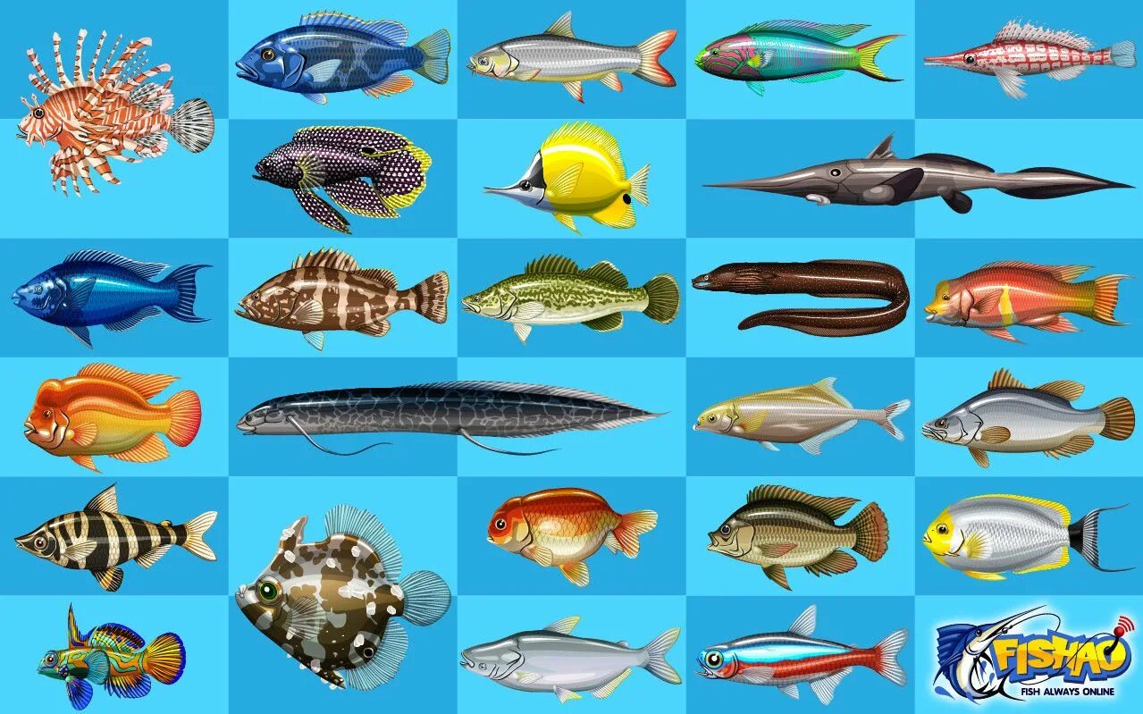 Рыбы на завтра мужчина. Рыба в игре LIFEAFTER. Игра новинка с рыбой. Рыбы из игры Fish Life. Новые виды рыб.