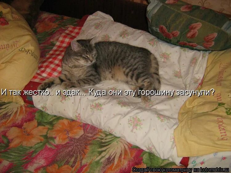 Котоматрица самое смешное. Я уж и так и эдак. И так и эдак. Я уж к ней и так и эдак со словами и без слов. Я уж и так и эдак.