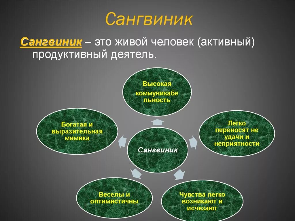 Сангвини. Сангвиник. Саншвинрк. Сангвиник это человек. Сангвиник качества характера.