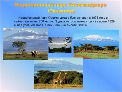 Страны и их парки