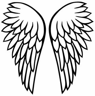 Des ailes