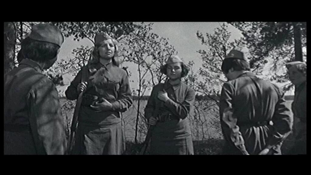 А зори здесь тихие фильм 1972. А зори старый. А зори старый. А зори здесь тихие фильм 1972 героини. Рита осянина а зори здесь тихие 1972.