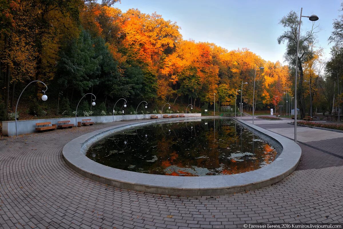 Скверы воронежа. Воронеж центральный парк культуры и отдыха. Парк культуры воронеж. Парк алые паруса воронеж. Город воронеж парк алые паруса.