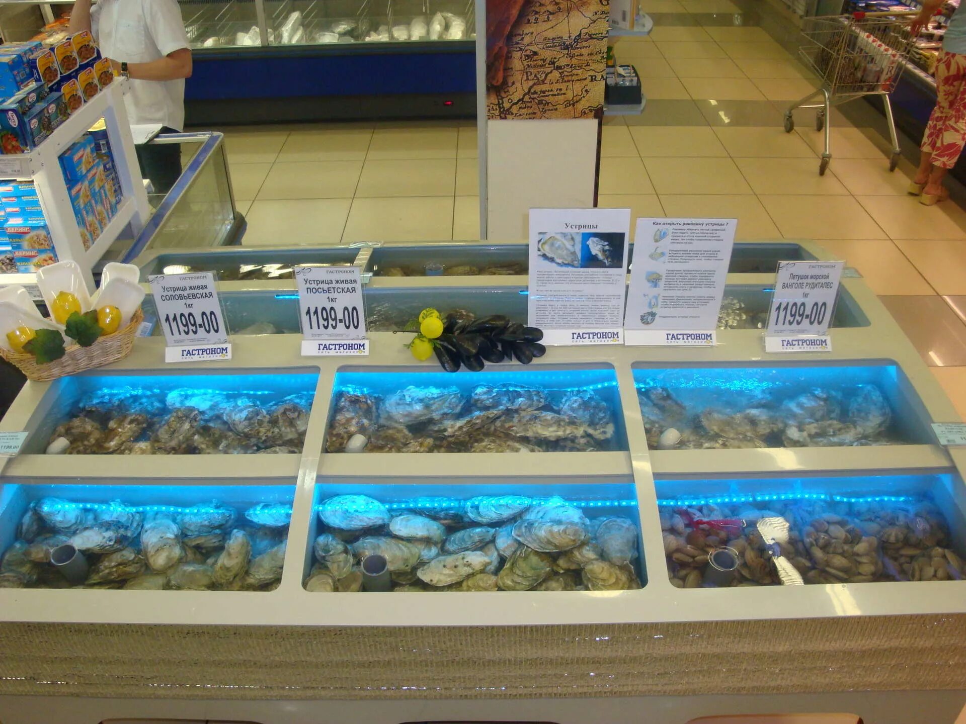 набережные челны зоомагазин аквадом. живая рыба в магазине в аквариуме. зоомагазин рыбки. где продают живые. птичий рынок рыбки аквариумные.