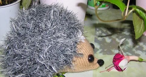 Маленький ежик четверо слушать