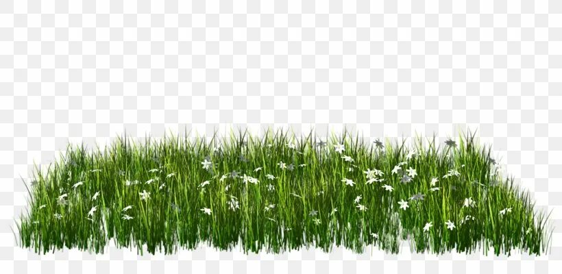 Grass network. Трава на прозрачном фоне. Трава для фотошопа. Текстура травы на прозрачном фоне. Травка на прозрачном фоне.