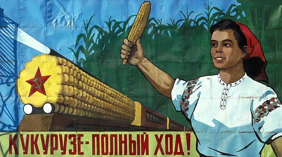 Большая кукурузина. Кукурузная кампания Хрущева плакаты. Кукуруза царица полей плакат. Кукуруза царица полей Хрущев. Плакаты Хрущева кукуруза.