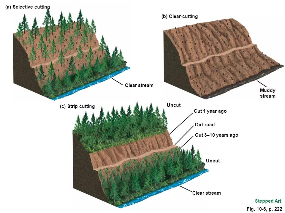 Clear cutting. Clear Cut. Clearcutting. Selective Drainage Unit. Cutters (Cut-off, notch, Pass-through).