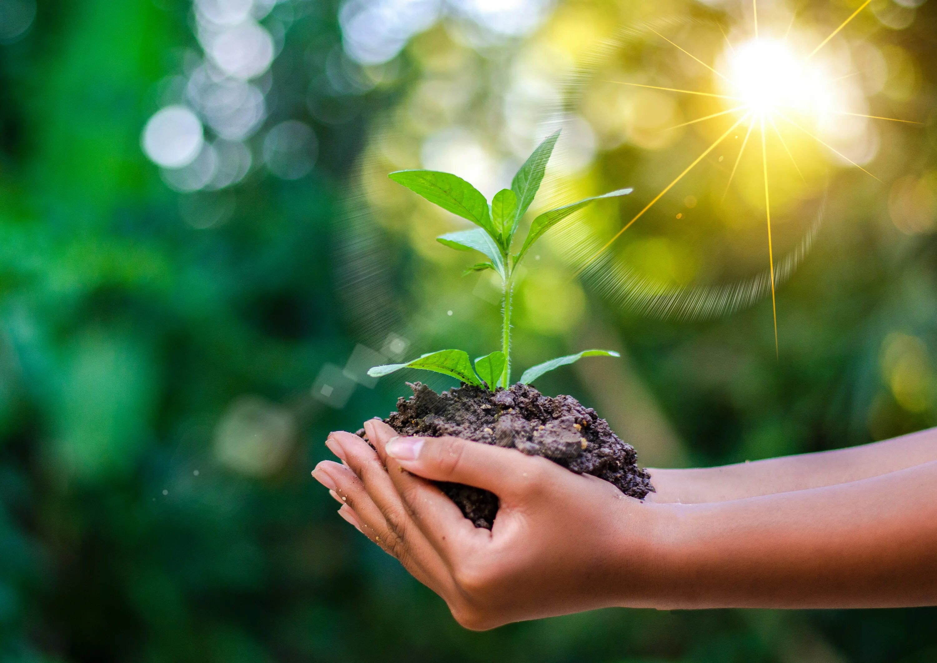 All people are response for the environment
