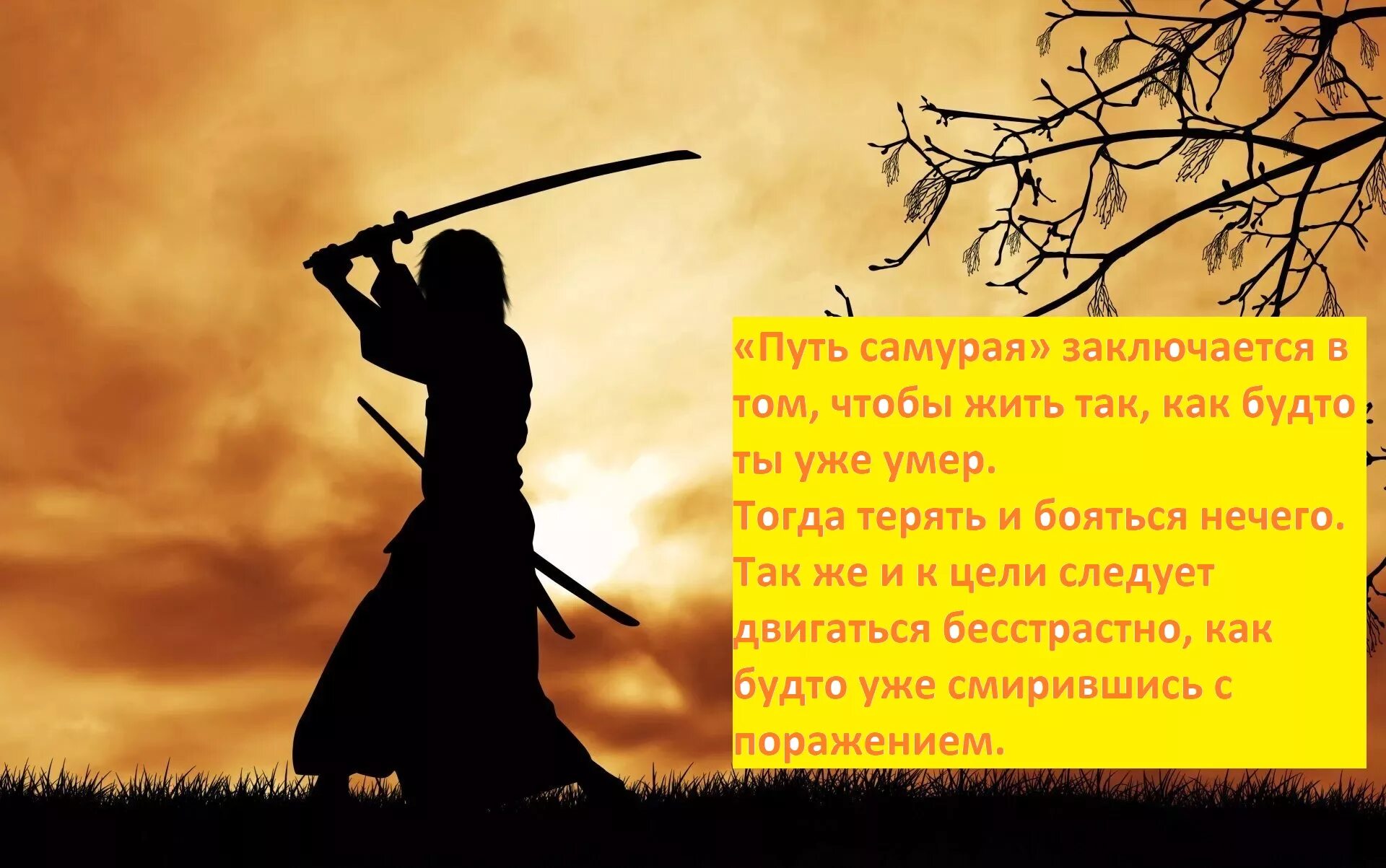 Главное путь. Цель самурая. Высказывания самураев. Цель самурая путь. У самурая нет цели только путь.