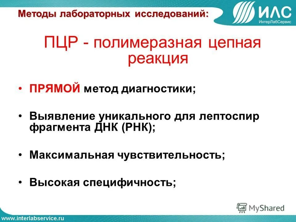 Синоним болезнь с частицей не. Методы диагностики лептоспироза. Лептоспироз восприимчивость. Лептоспироз лабораторные методы исследования.