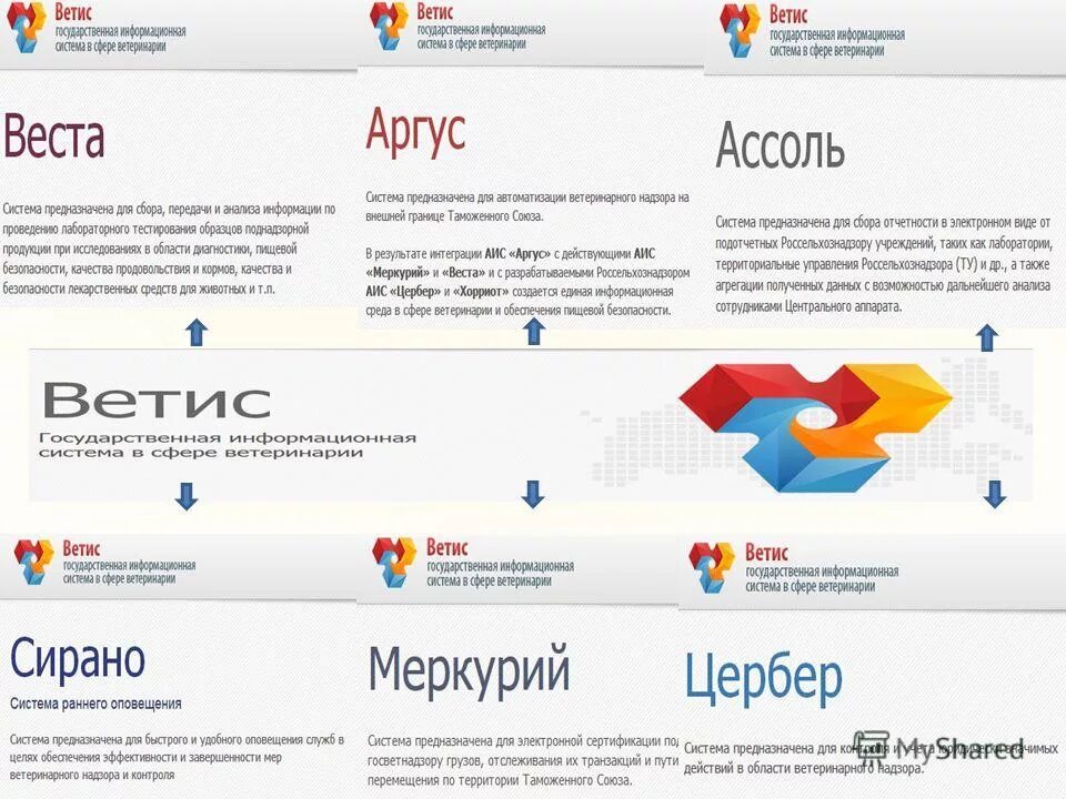 Фгис хорриот. Хорриот ветис. Компонент хорриот. Хорриот ветис. Фгис хорриот.