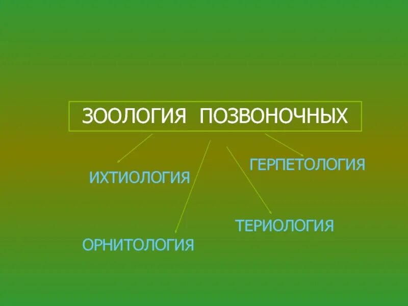 Териология это наука изучающая. Зоология и экология позвоночных животных. Биология Зоология. Разделы биологии Зоология. Раздел в биологии животные.