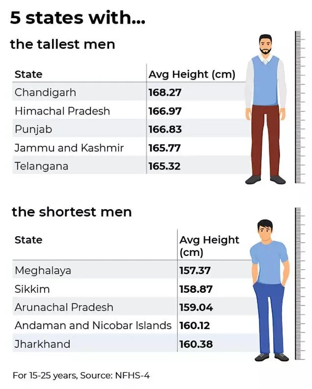 Высота ис. Average height. Average building у мужчин. What height is Tall. Heights in USA.