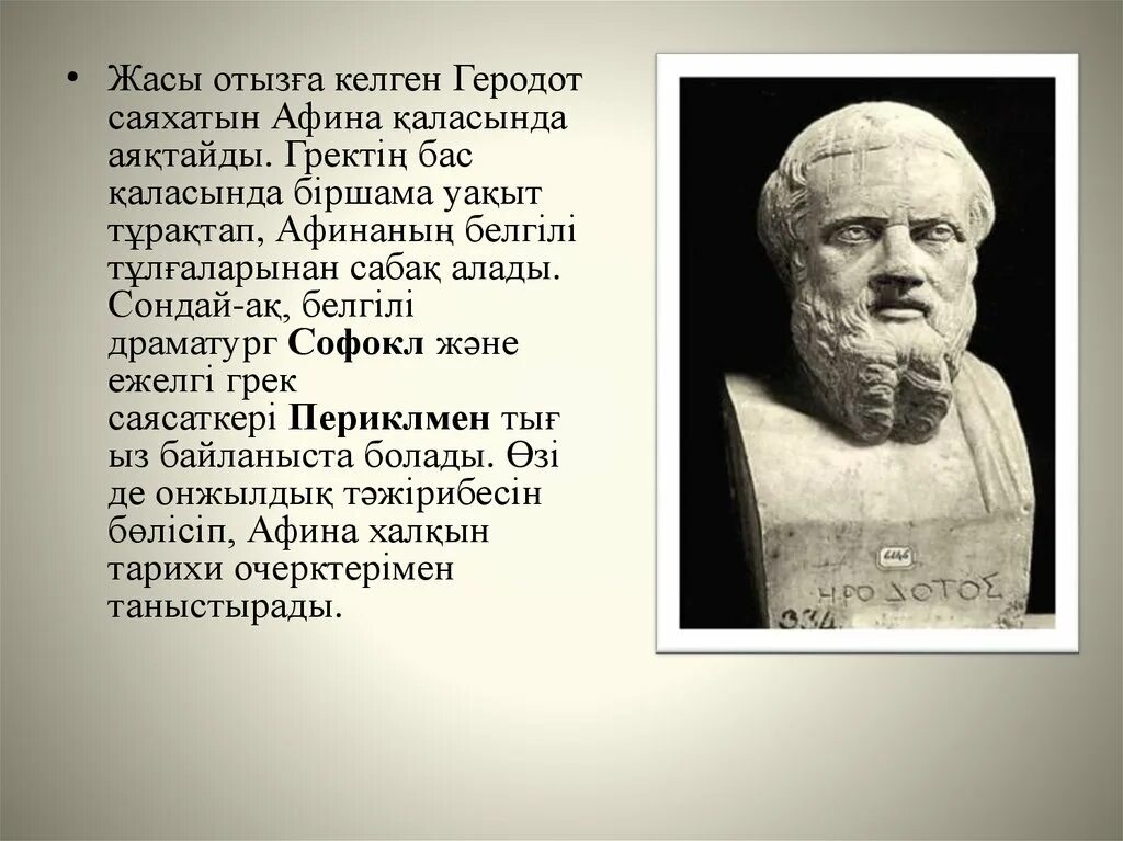 Геродот бюст. Геродот о войне. Геродот в биологии. Историк Геродот.