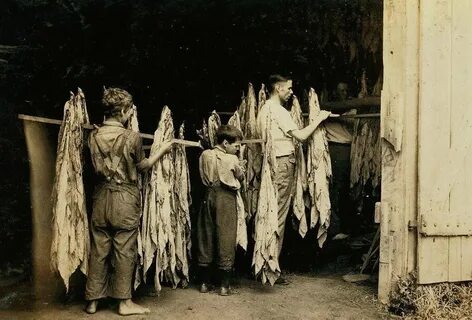 Пошли в сарай