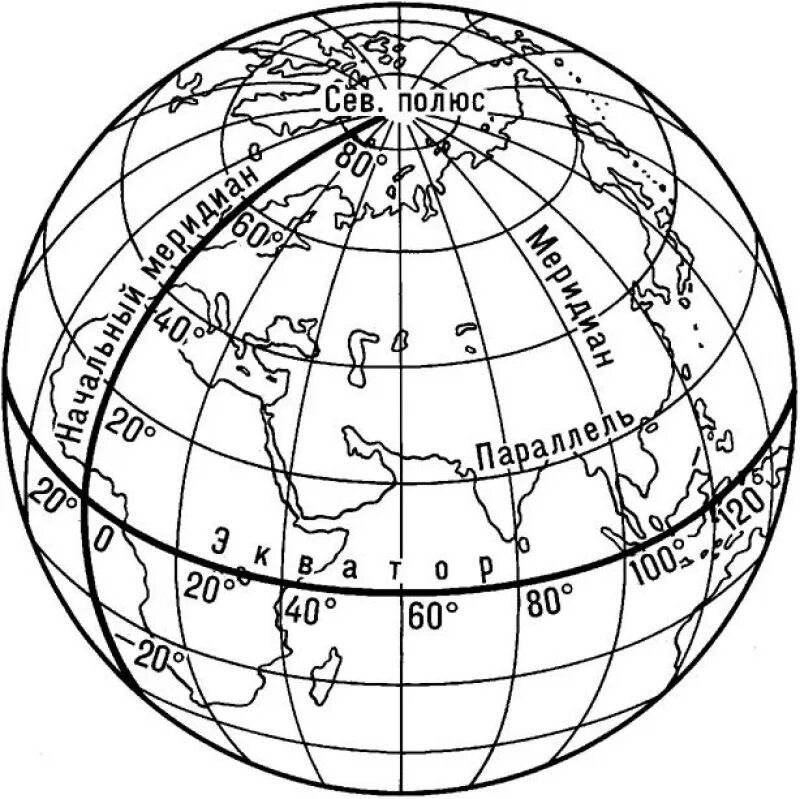 Параллели меридианы градусная сеть широта долгота. Меридиан параллель полюс Экватор на глобусе. Глобус параллели и меридианы градусная сетка. Градусная сеть глобуса географические полюса.