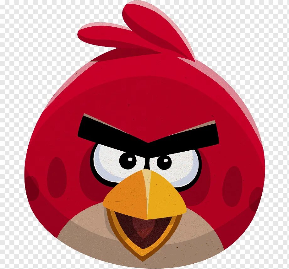 Angry birds игры rovio. Птичка angry birds. Птички angry birds. Энгри бердз 2 игра. Птицы энгри бердз.