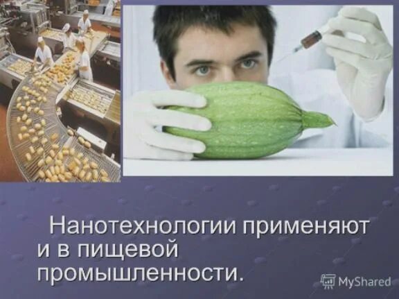 Приведите примеры применения нанопродуктов в сельском хозяйстве. Приведите примеры применения нанопродуктов в сельском хозяйстве