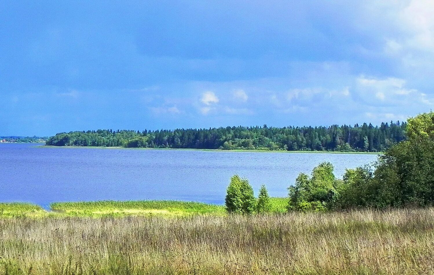 Озеро селигер имеет происхождение. Серебряное озеро Селигер. Селигер Валдайская возвышенность. Озеро Рясивое Селигер. Озеро Лобынок Тверская область.