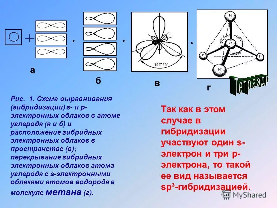 Гибридизация электронных облаков. Гибридизация электронных облаков. Электронная гибридизация. Гибридизация электронных облаков атома углерода sp3 sp2 sp. Гибридизация выравнивание электронных облаков.
