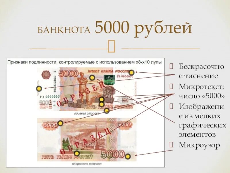 Элементы купюры. Микротекст на 5000. Части купюры. 5000 Рублей. Элементы купюры 5000 рублей.