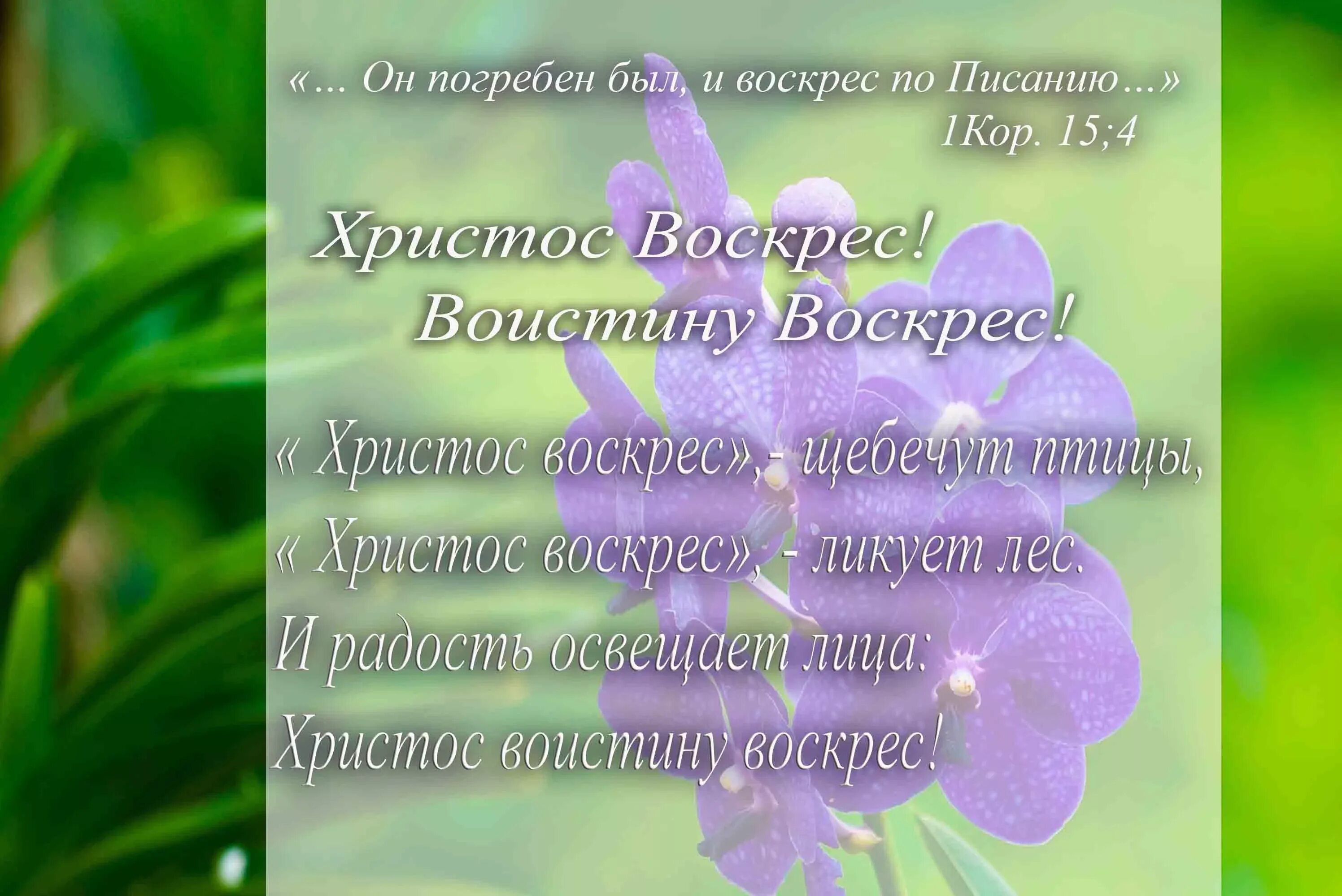 С праздником светлого христова воскресения. Стих на пасху христос воскрес христианские. Христианские пожелания на пасху. Поздравление с христовым воскресеньем открытки. Стихотворение на пасху для детей христианские.