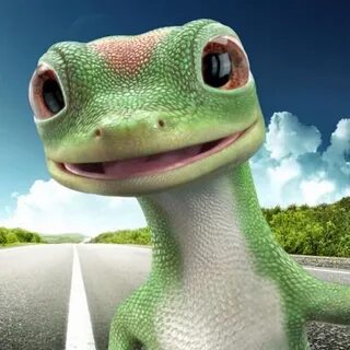 Gecko version